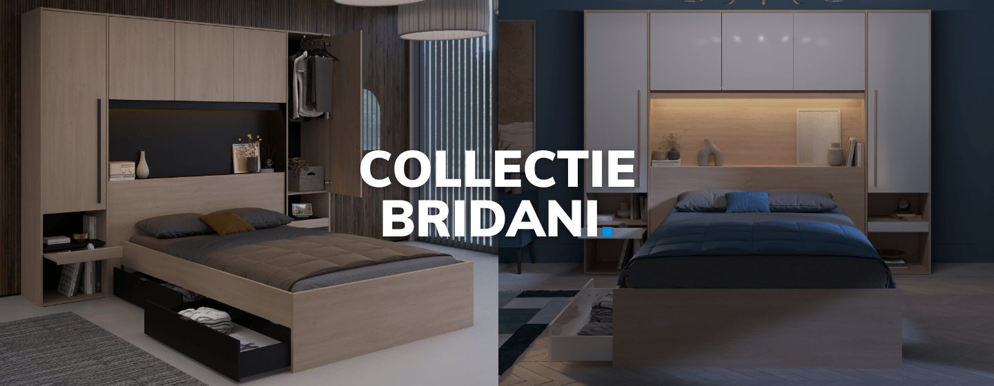 BRIDANI_-_NL