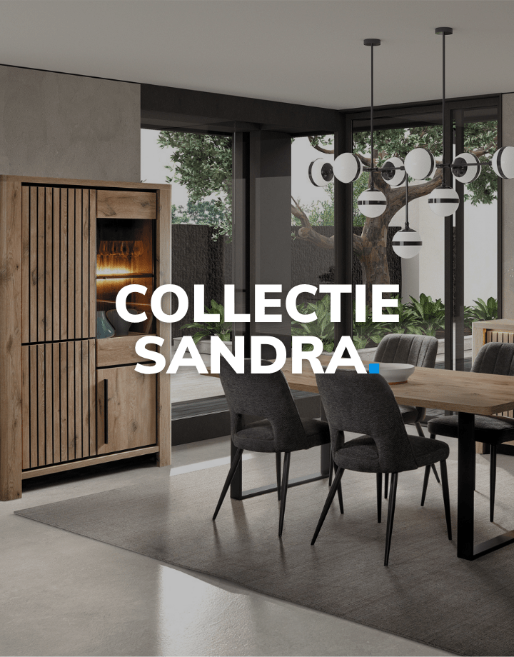 SANDRA_-_MOBILE_-_NL