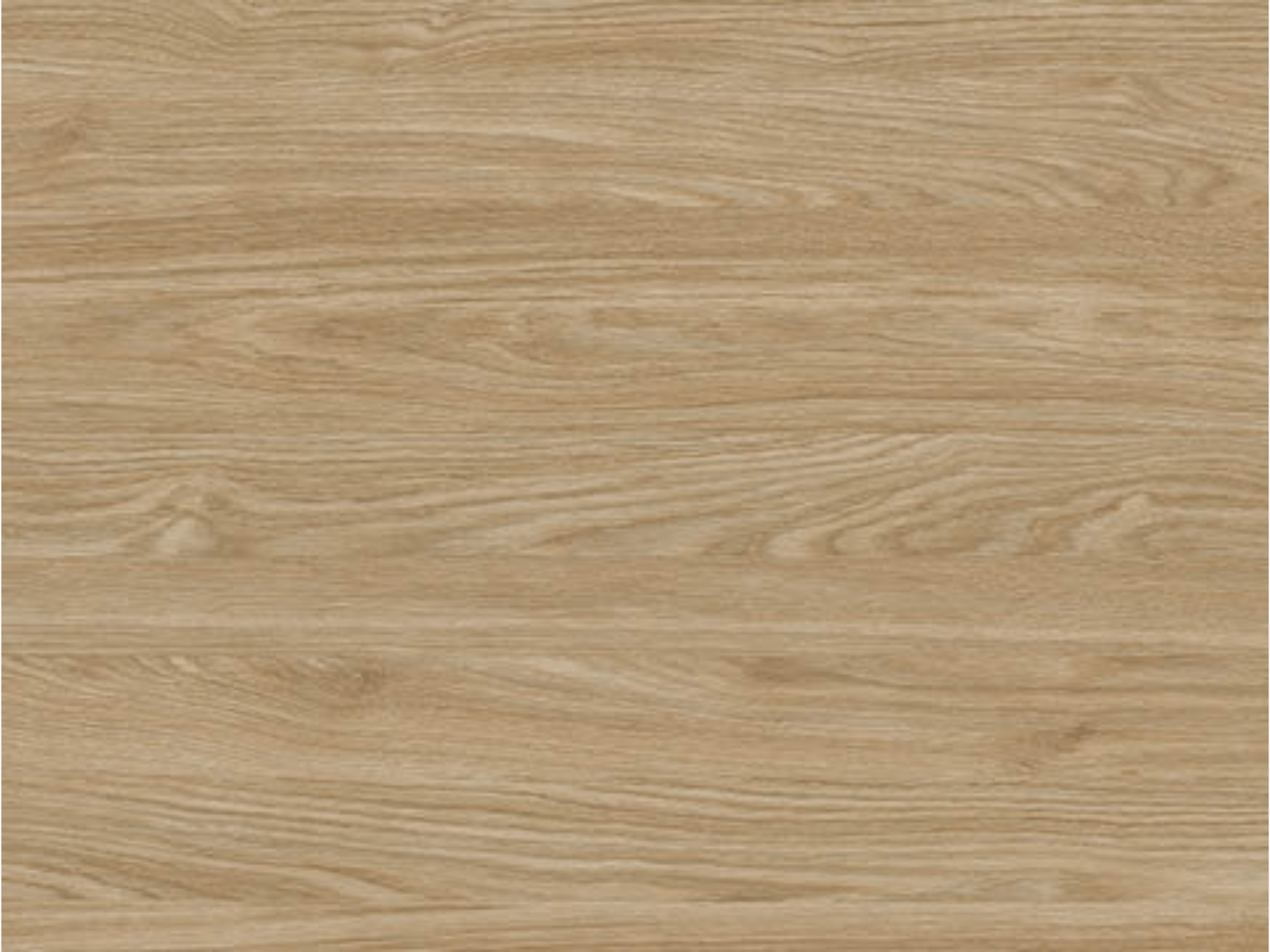 Staaltje geoliede eik