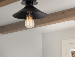 Plafondlamp BERINNA 1 lamp zwart