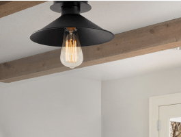 Plafondlamp BERINNA 1 lamp zwart