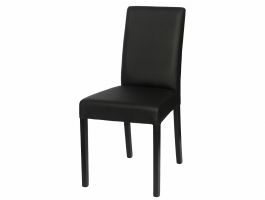 Set van 2 stoelen LANO zwart