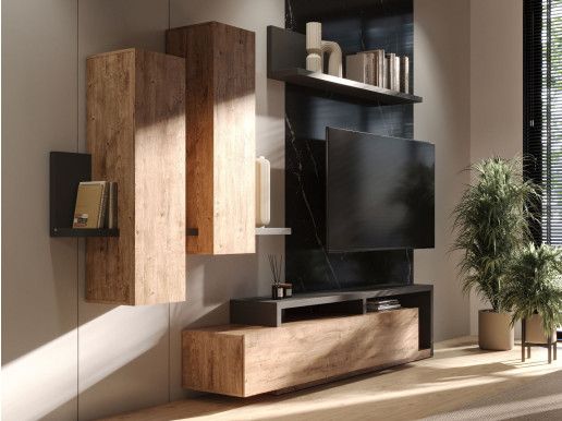 Tv-meubel set BOTSWANA 2 lades 2 opbergvakken antraciet/ribbec eikenhout