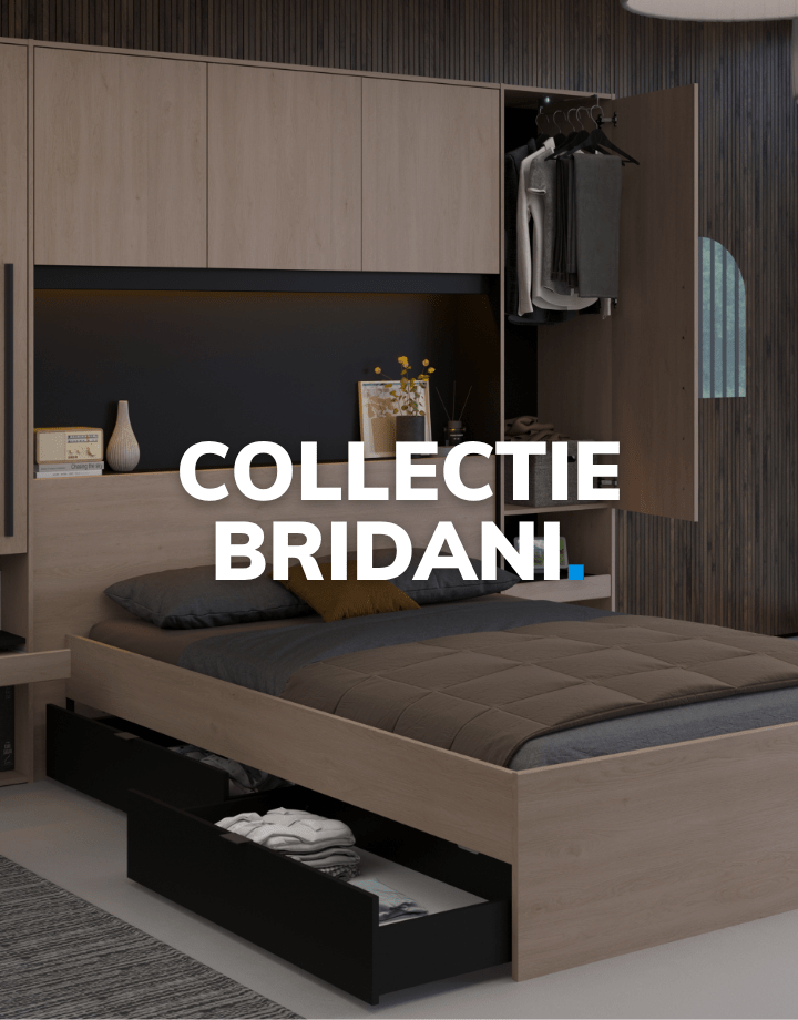 BRIDANI_-_MOBILE_-_NL